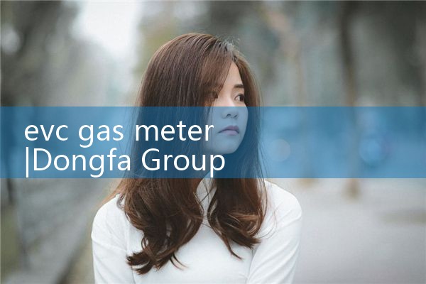 evc gas meter|arduino flow meter