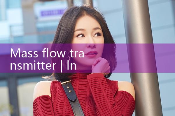 mass flow transmitter|mass flowmeter