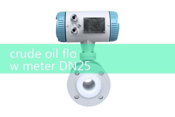 crude oil flow meter DN25