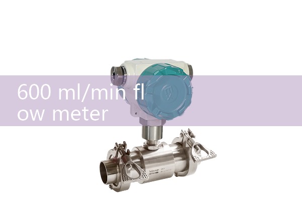 600 ml/min flow meter