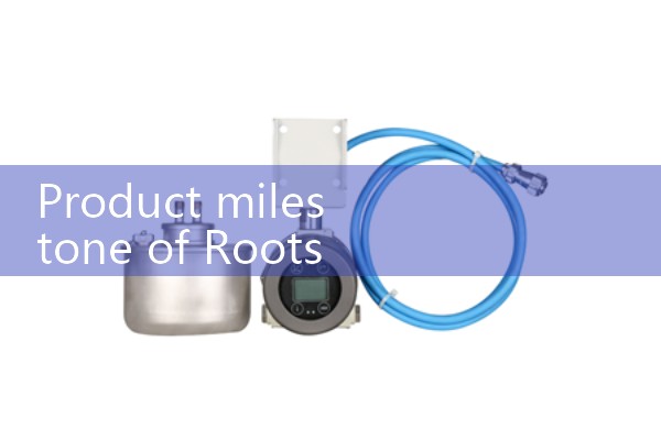 Roots flowmeter manufacturer