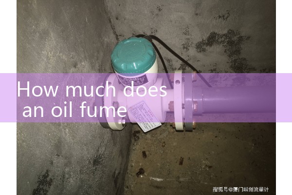 Oil fume flowmeter