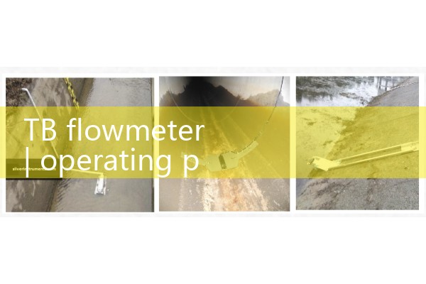 TB flowmeter