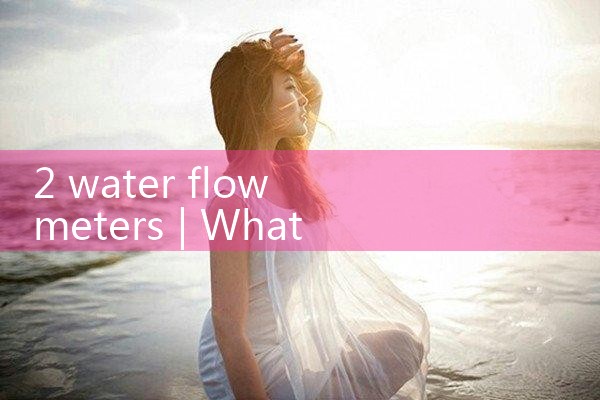 2 water flow meter|mass flowmeter
