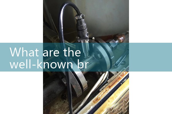 steam flow meter