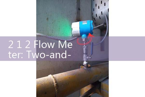 2 1 2 Flow Meter: Two-and-a-Half Inch Commercial Process Piping Sensors
