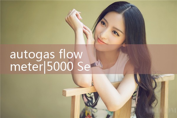 autogas flow meter|arduino flow meter