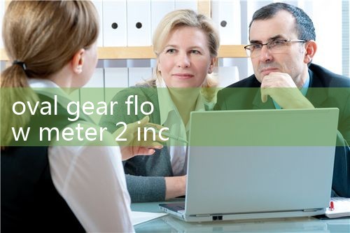 oval gear flow meter 2 inch|vortex flow meter