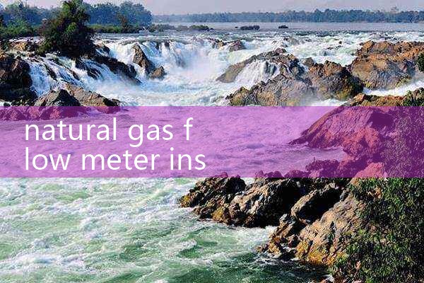 natural gas flow meter insertion type|arduino flow meter