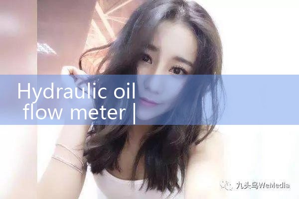 hydraulic oil flow meter|mass flowmeter