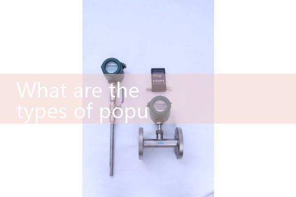 Popular flow meters