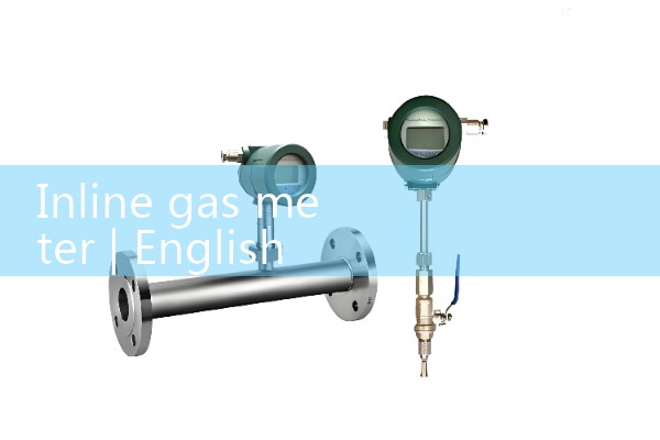 inline gas meter