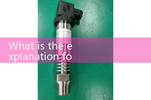 Magnetic flowmeter