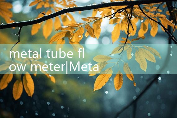 metal tube flow meter|vortex flow meter