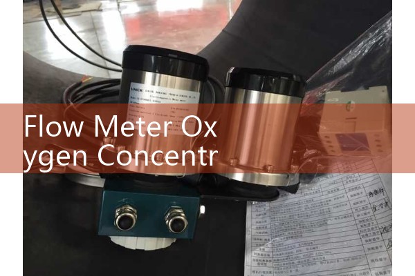 Flow Meter Oxygen Concentrator: Understanding the Function of Medical Gas Rotameters