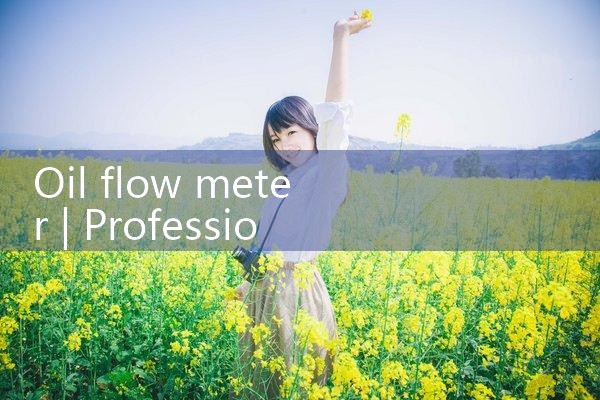 oil flow meter|mass flowmeter