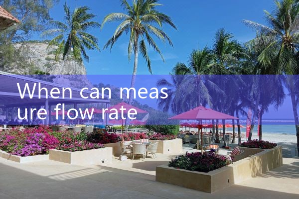 measure flow rate of water|mass flowmeter