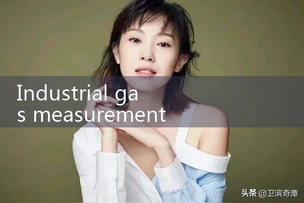 industrial gas measurement|coriolis mass flow meter