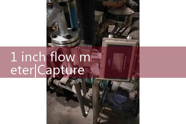 1 inch flow meter