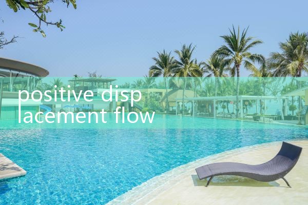 positive displacement flow meter DN80|vortex flow meter