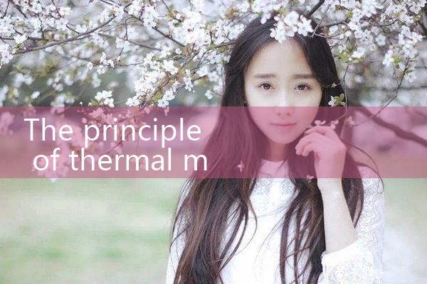 thermal mass flow meter principle|mass flowmeter