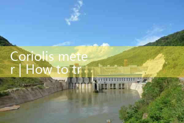 coriolis meter|mass flowmeter