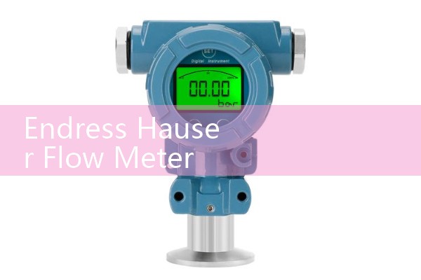 Endress Hauser Flow Meter Promag 300 Manual Download: Smart Transmitter Webserver Setup