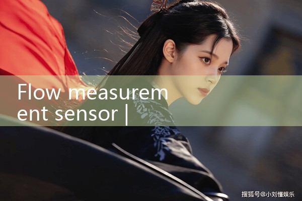 flow measurement sensor|mass flowmeter