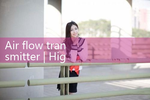 air flow transmitter|mass flowmeter