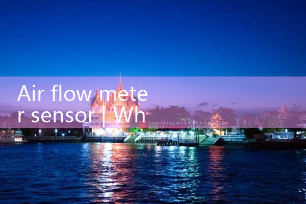 air flow meter sensor|mass flowmeter