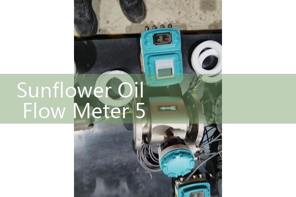 Sunflower Oil Flow Meter 5 m3/h: Commercial Fryer Replenishment Loop Best Practices
