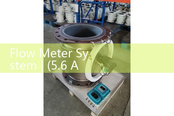 Flow meter system