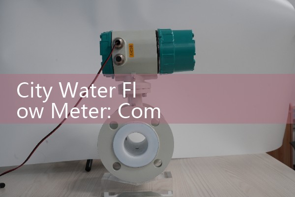 City Water Flow Meter: Commercial Submetering Utility Main Valves