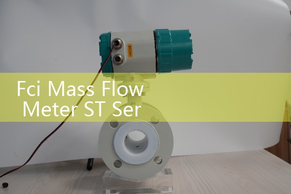 Fci Mass Flow Meter ST Series: Thermal Dispersion Sizing for Industrial Flare Gases