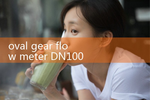 oval gear flow meter DN100|vortex flow meter