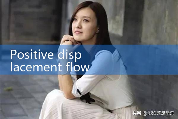 positive displacement flow meter manufacturer|vortex flow meter