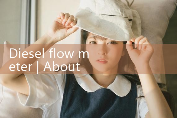 diesel flow meter|coriolis mass flow meter