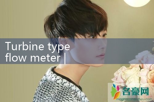 1 water flow meter|mass flowmeter