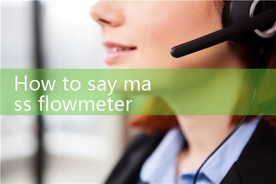 flow rate meter|mass flowmeter