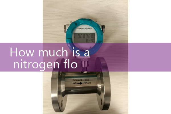Nitrogen flowmeter