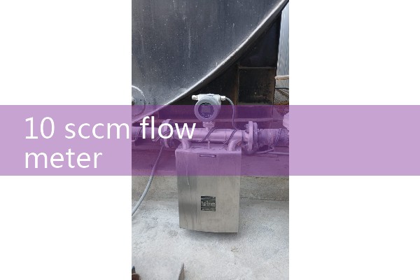 10 sccm flow meter
