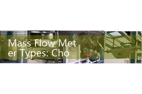 Mass Flow Meter Types: Choose the Right Technology