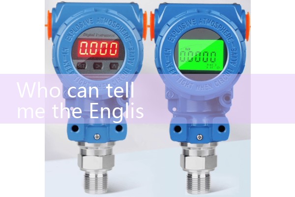 inline flow meter