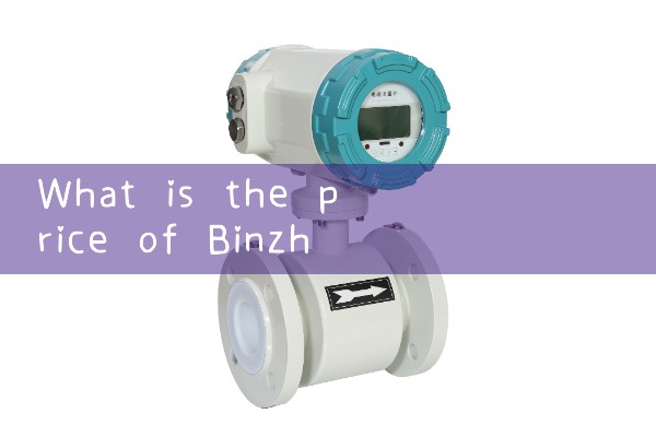 Binzhou quality flowmeter manufacturer price