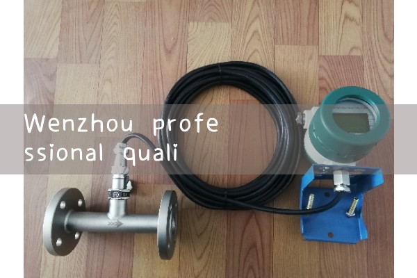 Wenzhou professional quality flowmeter manufacturer