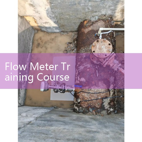 Flow Meter Training Courses: Master Curriculum for Industrial Instrumentation Engineers