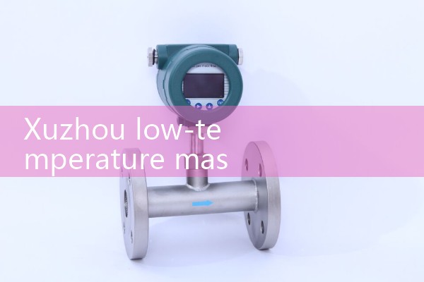 Xuzhou Low Temperature Mass Flow Meter Manufacturer
